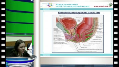 Заседание урологической секции научно-образовательного кружка 23.12.2013