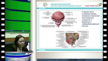 Дерягина Д.М. - "Хирургическая анатомия простаты"