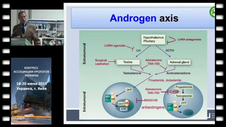 Н.Ван Дер Поэл - Гормонотерапия при прогрессирующем и метастазирующем раке простаты: хронометрирование, подбор препаратов, длительность