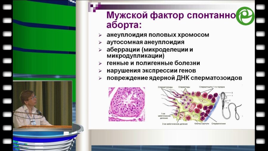 Божедомов В.А. - Андрологические аспекты невынашивания беременности