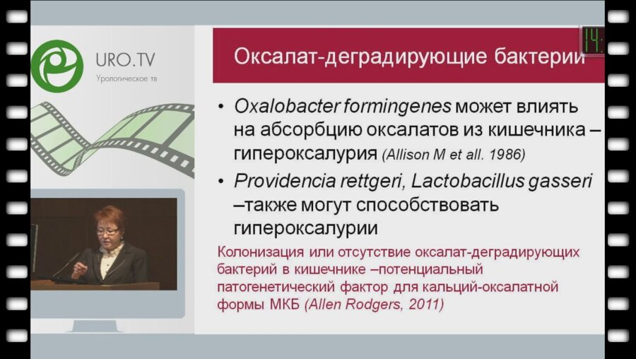 Перепанова Т.С. - Роль инфекции в камнеобразовании