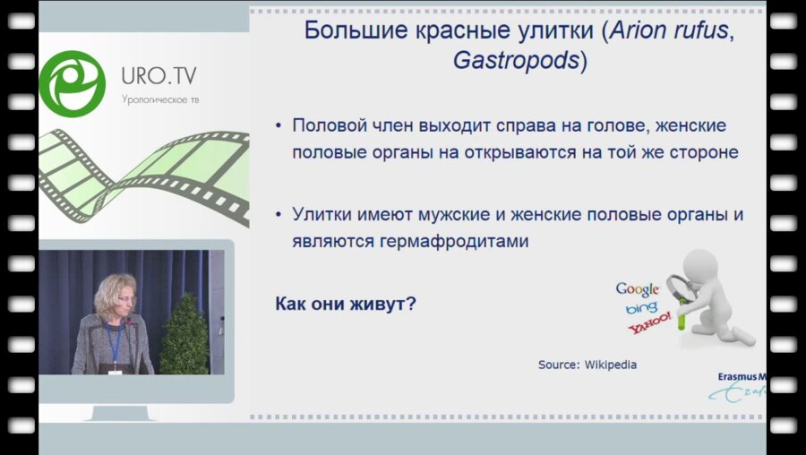 Katja Wolffenbuttel - Нарушение формирования пола - мультидисциплинарный подход