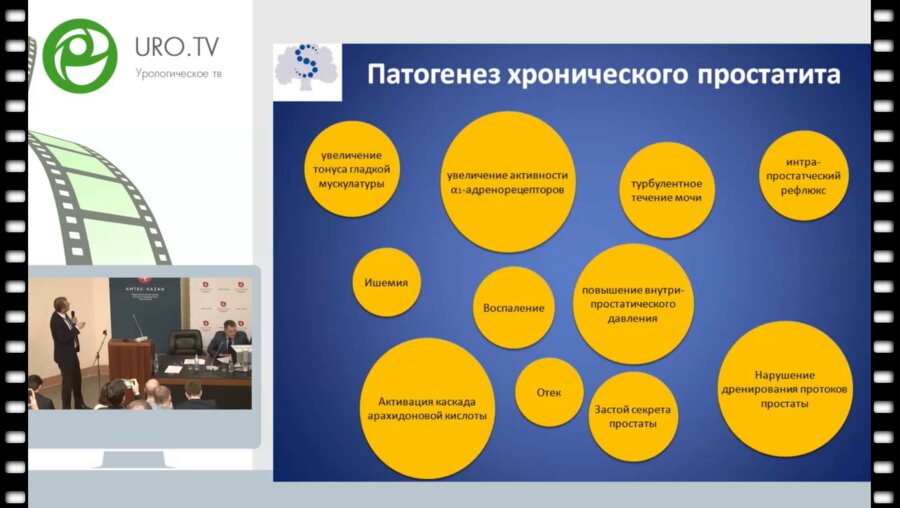 Цариченко Д.Г. - Медикаментозная терапия неонкологических заболеваний предстательной железы