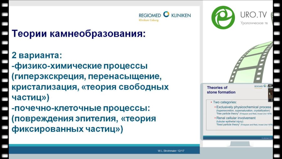 Walter Strohmeier - Формирование бляшек и их влияние на процесс камнеоброазования. Дискуссия