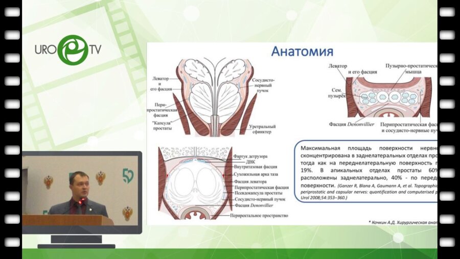 Вязовцев П.В. - Сравнительный анализ различных способов гемостаза при обработке сосудисто-нервных пучков в ходе нервосберегающей вне