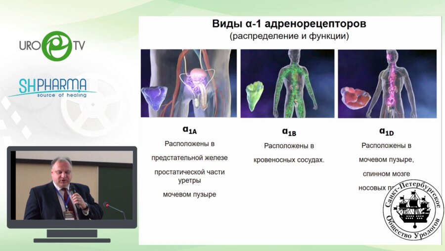 Кузьмин И.В. - Альфа-адренергическая селективность. Уродинамические аспекты