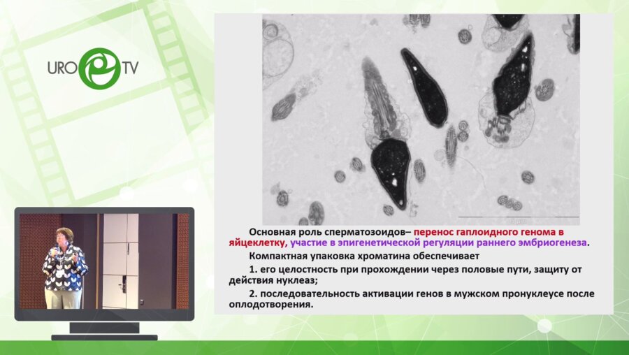Брагина Е.Е. - Ультраструктурные исследования при диагностике бесплодия