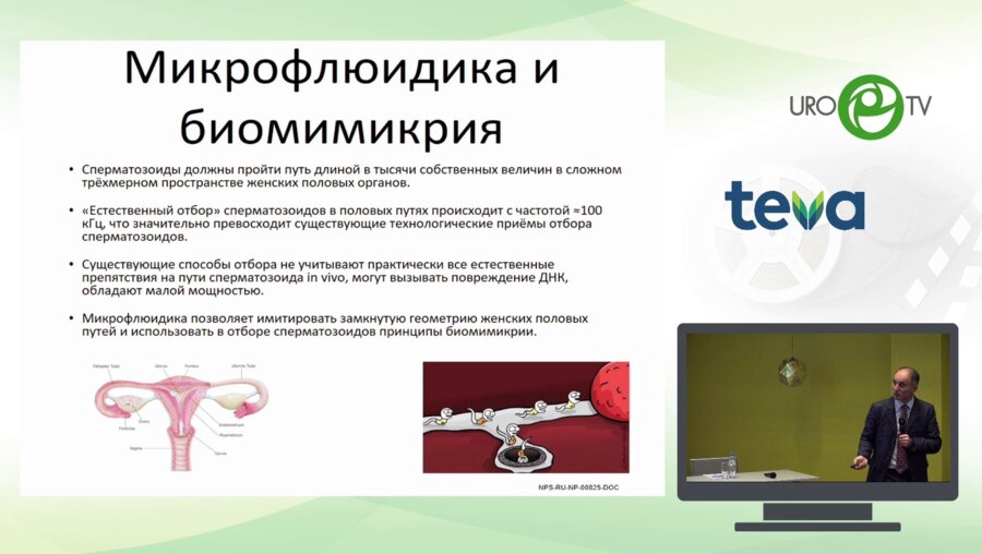 Гамидов С.И. - Дискутабельные проблемы мужской репродукции