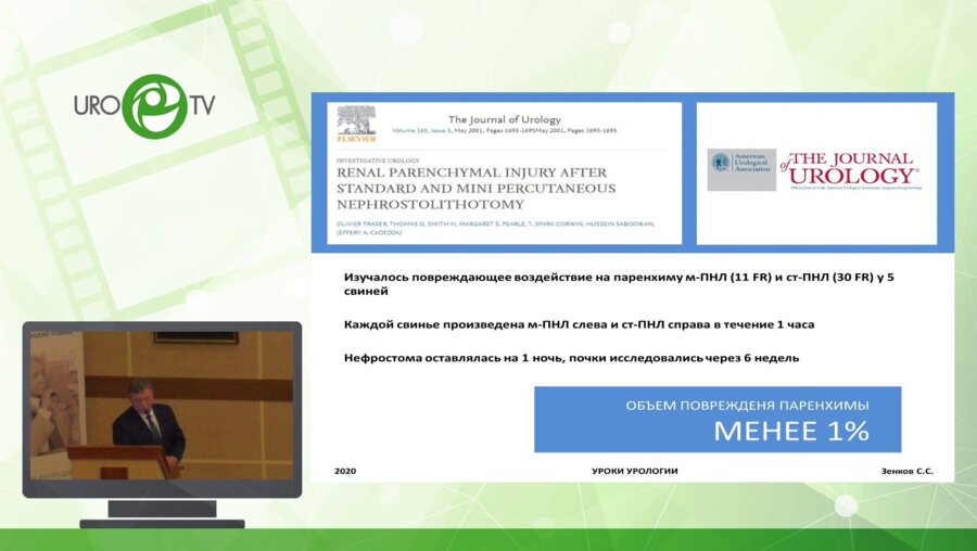 Зенков С.С. - Перкутанная ренальная хирургия. Возможности и пределы