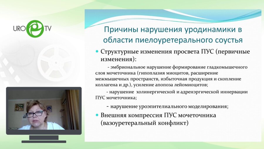 Дерюгина Л.А. - Антенатальные механизмы формирования гидронефроза