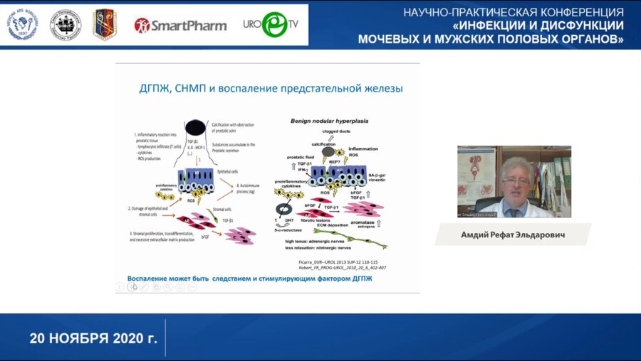 Амдий Р.Э. - ДГПЖ, хроническое воспаление и симптомы нижних мочевых путей современные аспекты диагностики и лечения