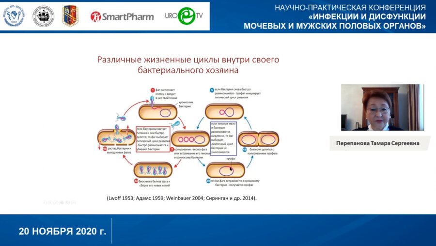 Перепанова Т.С. - Бактериофаги возможности и перспективы