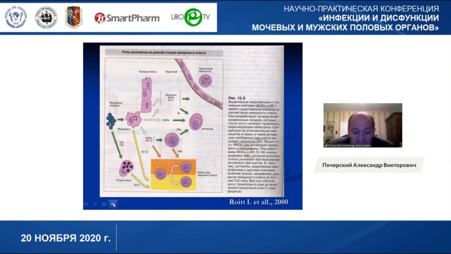Печерский А.В. - Аутоиммунные факторы в развитии хронической тазовой боли