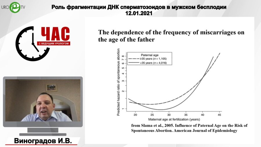 Виноградов И.В., Шибанова Е.И. - Роль фрагментации ДНК сперматозоидов в мужском бесплодии