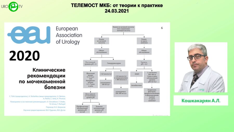 Кошкакарян А.Л. - Уратный камень: лечение, направленное на уменьшение камня в размере