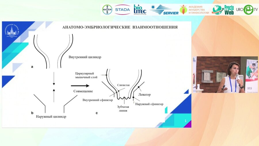 Гарманова Т.Н. - Анатомия анального канала