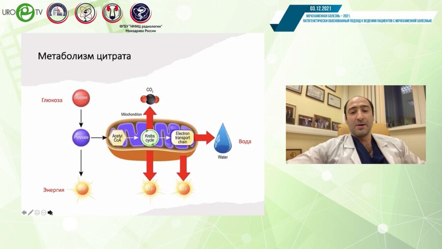 Гаджиев Н.К. - Цитратные смеси в метафилактике МКБ