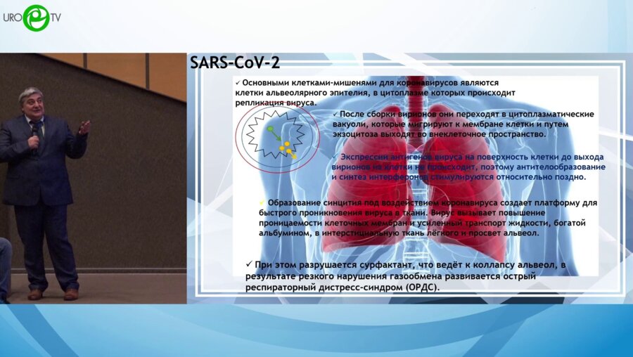 Ибишев Х.С. - SARS-COV-2. Репродуктивное здоровье мужчин