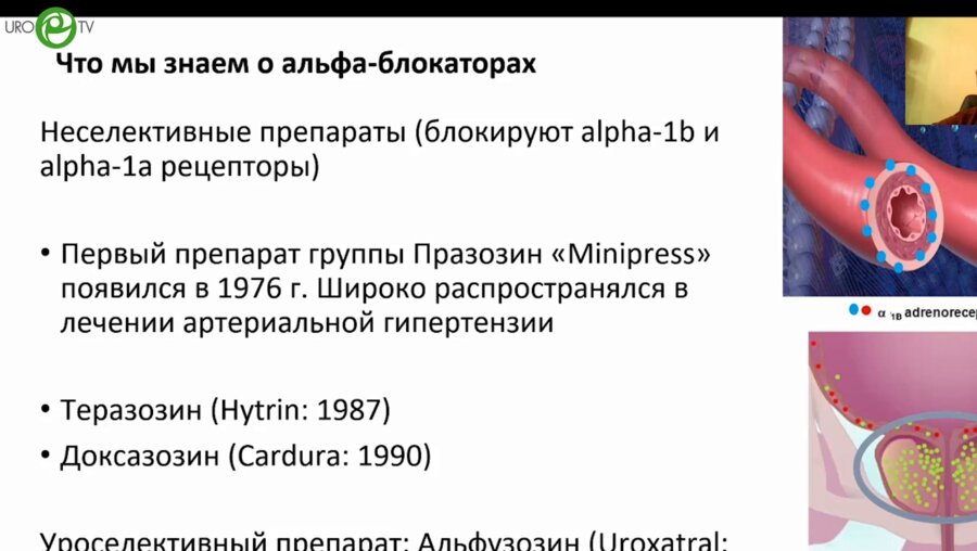 Котов С.В. - Нерешённые вопросы терапии альфа-блокаторами