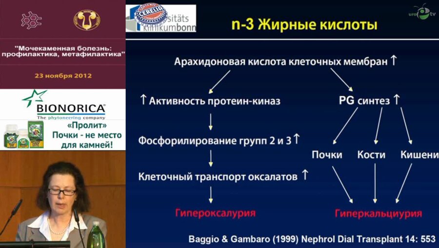 Р. Зинер "Современный взгляд на факторы риска камнеобразования"