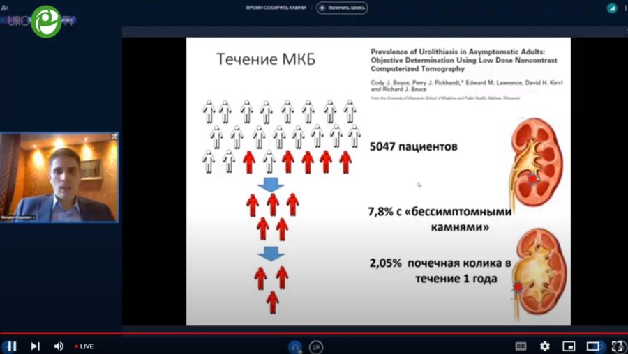 Просянников М.Ю. - Литогенез. Теория и практика