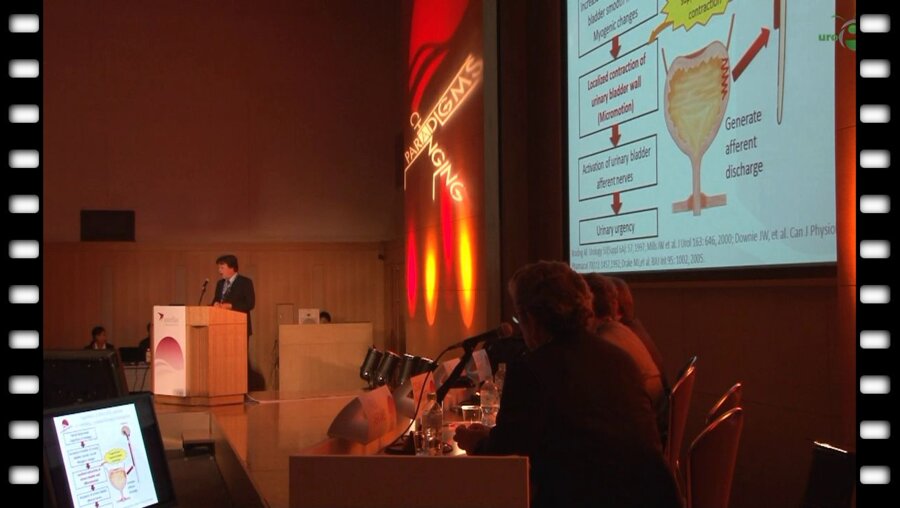 32 конгресс Международного Урологического Общества (Societe Internationale d'Urologie). Фукуока, Япония.