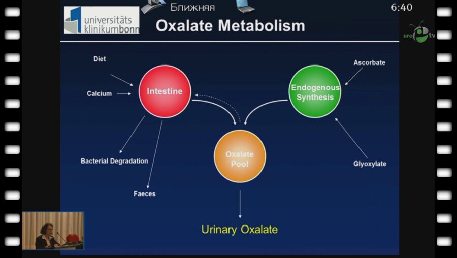 Siener R. - "Есть ли диеты против камней?"