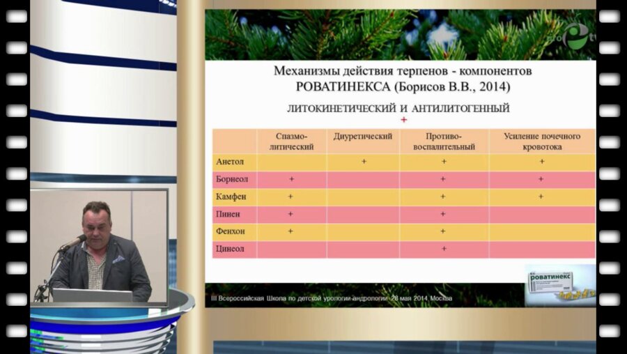 И.Л. Бабанин - Оценка эффективности применения препарата Роватинекс на этапах ведения больных с гидронефрозом и обструктивным мсгауретером