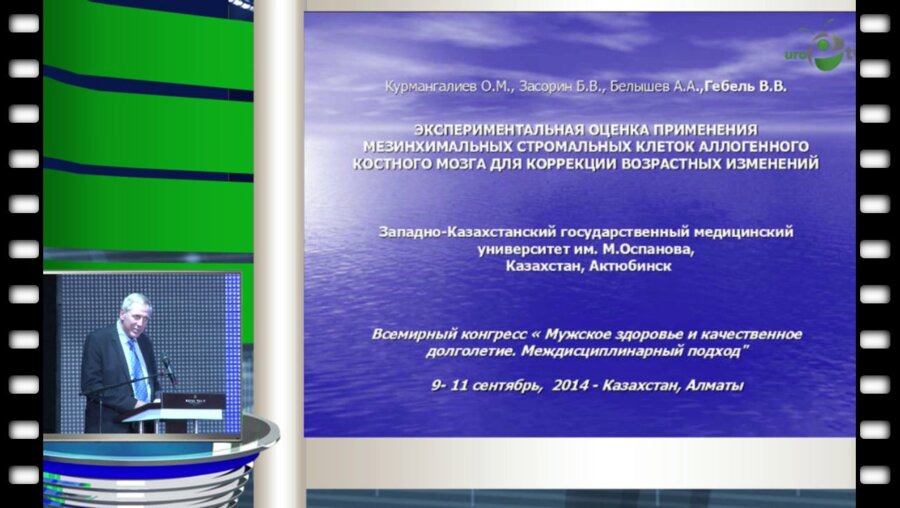 Засорин Б.В. - Экспериментальная оценка применения мезинхимальных стромальных клеток аллогенного костного мозга для коррекции возрастных изменений