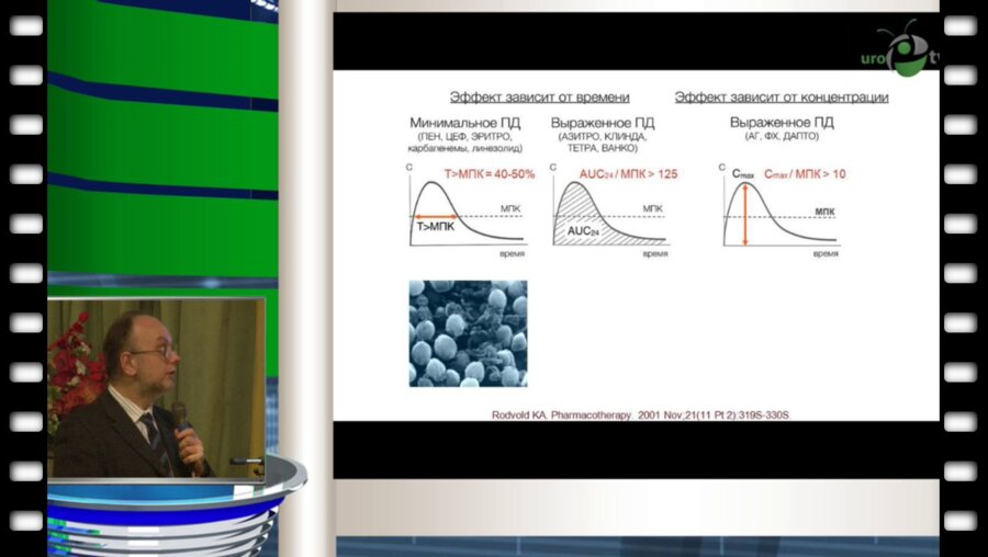 В.В. Архипов - принципы выбора антибиотиков