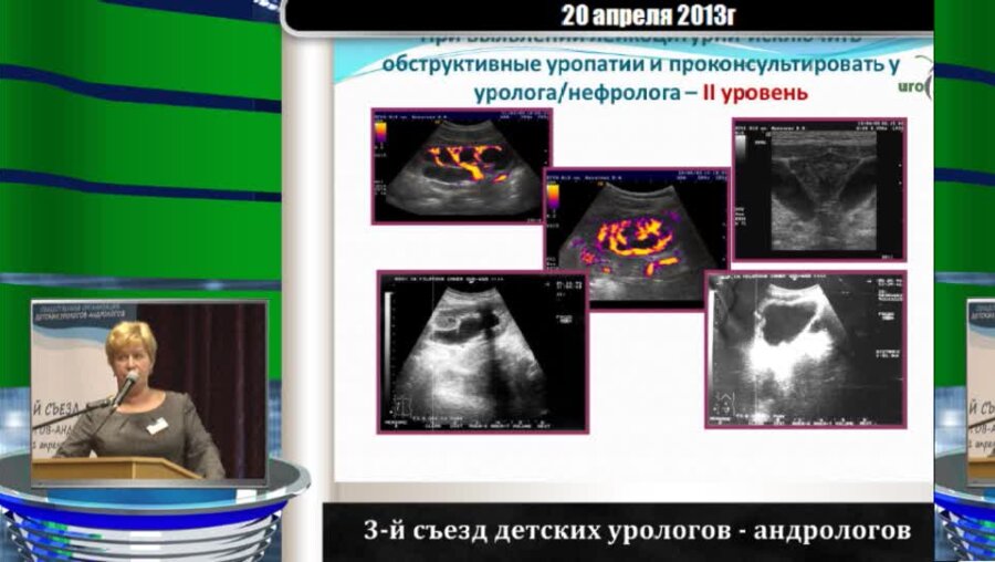 Меновщикова Л.Б. "Порядок оказания медицинской помощи детям с недержанием мочи"