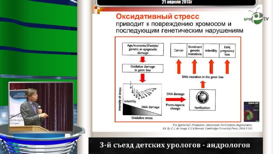 Божедомов В.А. "Новая редакция спермограммы по ВОЗ"