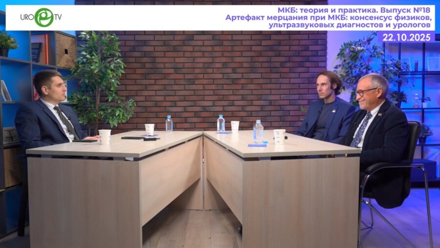 Громов А.В., Леонов Д.В., Просянников М.Ю. - Артефакт мерцания при МКБ: консенсус физиков, ультразвуковых диагностов и урологов