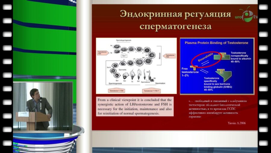 Антонов К.К. - "Роль индуцированного андрогенодефицита в снижении репродуктивного потенциала мужчин на фоне хронического"