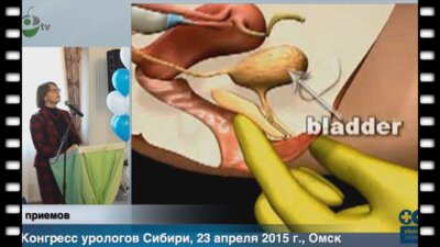 Кульчавеня Е.В. - "Особенности течения и лечения инфекций мочевыводящих путей у женщин"