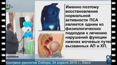 В.В. Борисов - Терапия сексуальных расстройств при заболеваниях простаты