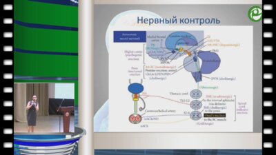 Коршунова Е.С. - Сексуальные дисфункции у пациентов с нейрогенными поражениями
