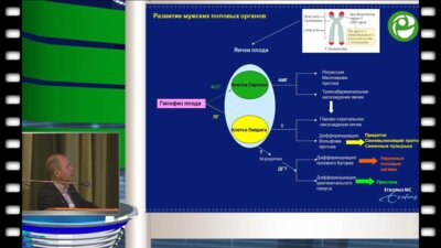Герт Доле - Мужское здоровье – инициатива "Горизонт 2020"