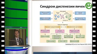 Димитриос Гулис - Роль профилактики в мужском репродуктивном здоровье