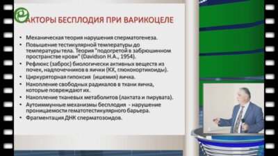 Капто А.А. - Анатомические и физиологические предпосылки влияния варикоцеле на фертильность
