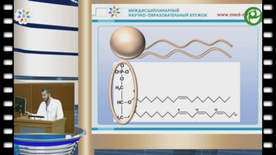 Галиев Н.А. - Этиология и патогенез МКБ. Теории камнеобразования