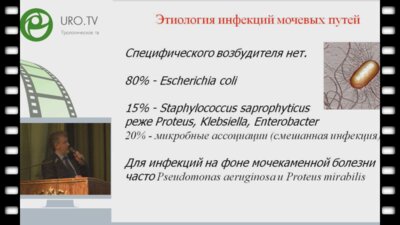 Амдий Р.Э. - Рациональный подход к лечению неосложненных инфекций мочевых путей
