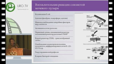 Перепанова Т.С. - Рецидивирующие циститы, роль иммунотерапии