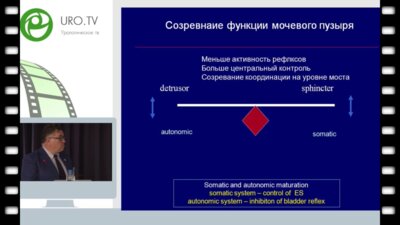 Tekgul S. - Ненейрогенные СНМП у детей