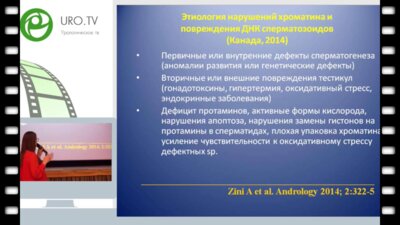 Попова А.Ю. - Фрагментация днК – сперматозоидов – от теории к практике
