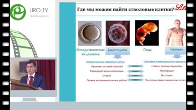 Чалый М.Е. - Применение клеточных технологий в андрологической практике