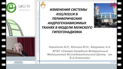 Никитина И.Л. - Лиганд-рецепторная система KISS1 – KISS1R при гипогонадизме