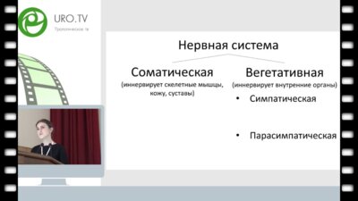 Старосельцева О.Ю. - Иннервация нижних мочевых путей: прикладные аспекты