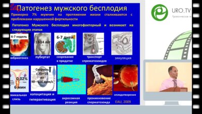 Гамидов С.И. - Современная концепция диагностики бесплодия у мужчин