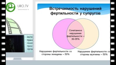 Черных В.Б. - Частые генетические причины мужского бесплодия